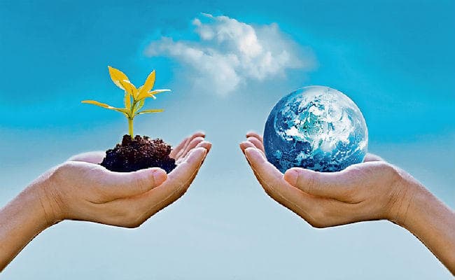 बिहार में आज से शुरू होगा जल-जीवन- हरियाली मिशन, बुजुर्ग करेंगे निगरानी, पंचायत तक होगा लाइव