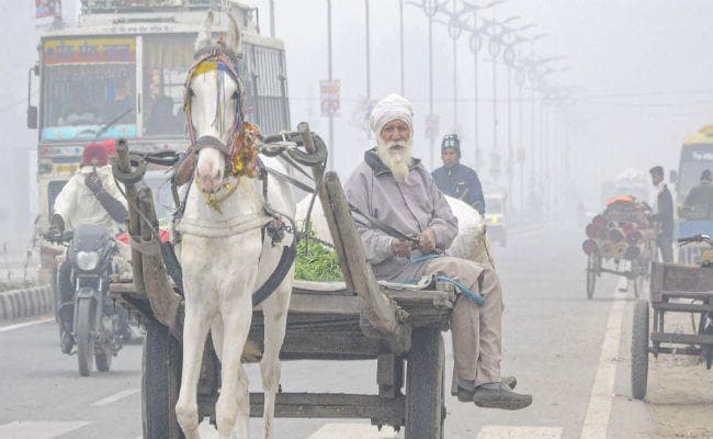 उत्तर भारत में शीत लहर का कहर: बढ़ी ठंड, कांप रहे हैं लोग, कई स्कूल बंद