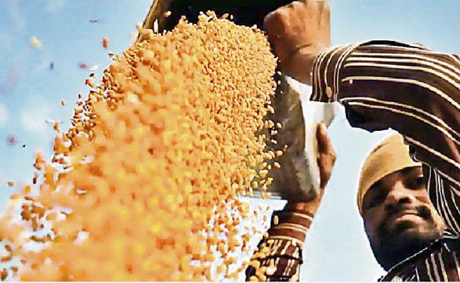 पटना : डोर-टू-डोर मॉनीटरिंग फेल, नहीं रुक रही अनाज की कालाबाजारी