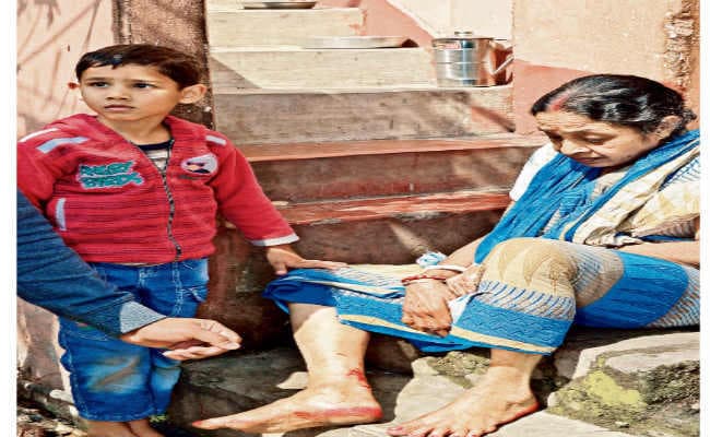 जमशेदपुर : कुत्ते का आतंक, आधे दर्जन को काटा