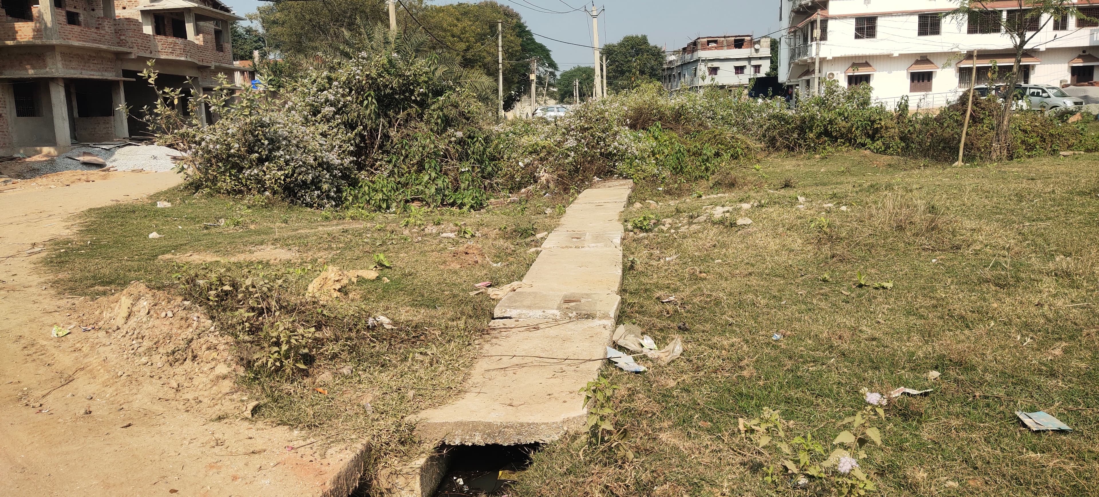 चक्रधरपुर : ड्रेनेज सिस्टम बदहाल, आम नागरिक बेहाल, नालियों में गंदगी के कारण मच्छरों का बढ़ा प्रकोप