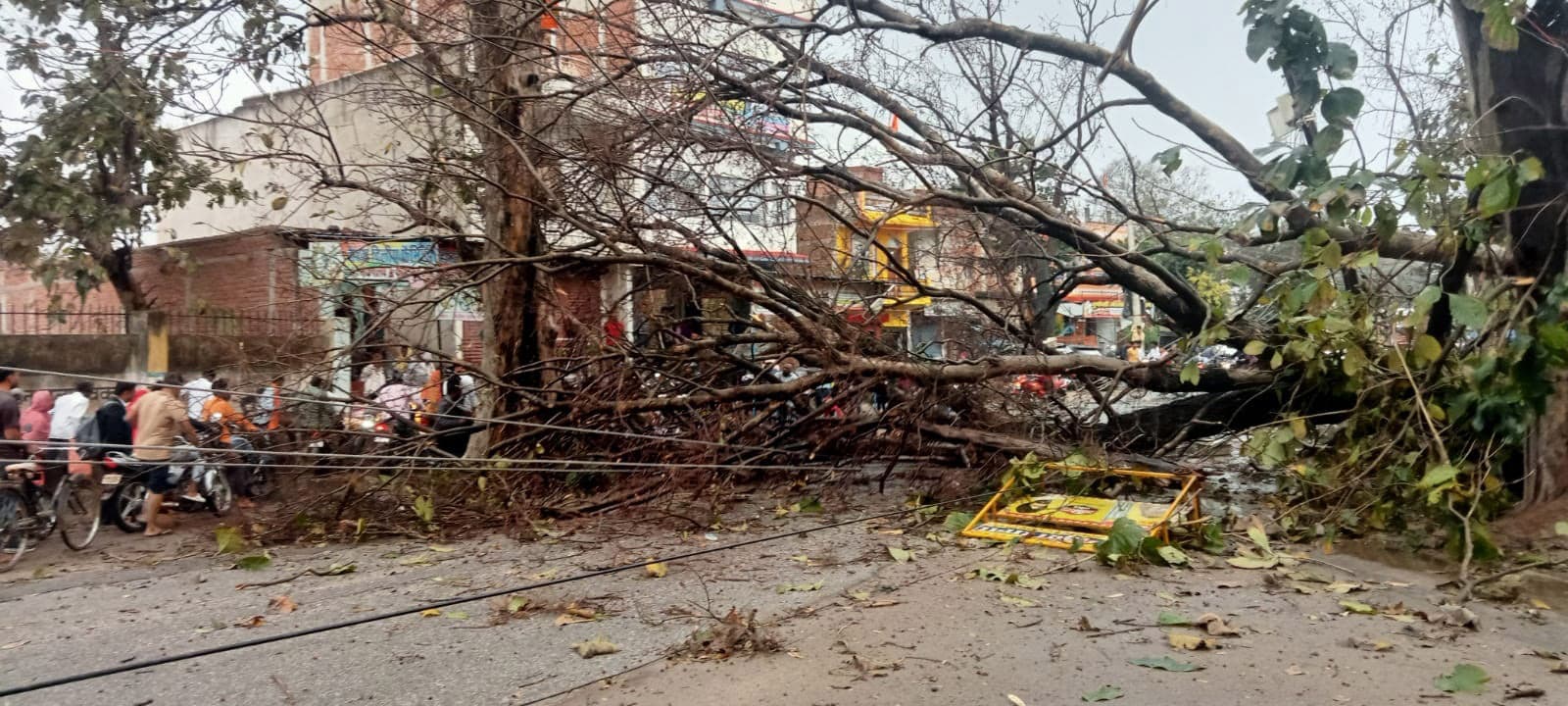 गढ़वा में आंधी से पेड़ गिरा, बाल-बाल बचे लोग, दो घंटे आवागमन बाधित