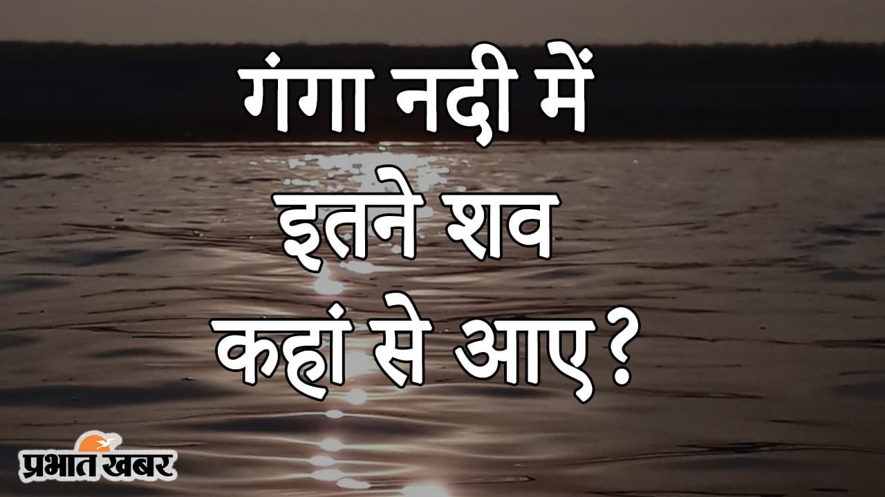 VIDEO: कोरोना संकट में बक्सर में तैरते मिले कई शव, गड्ढे में कराया गया दफन, क्या है सच्चाई?