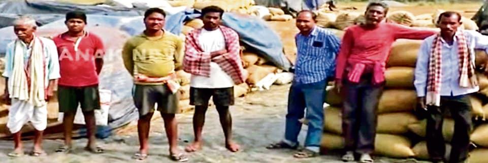 ओडिशा के बामड़ा में हाथियों ने खाया धान, किसानों ने मांगा मुआवजा