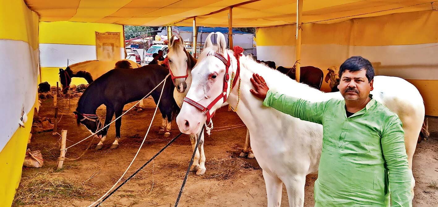 सेना के लिए सोनपुर मेले से हाथी मंगवाते थे चंद्रगुप्त मौर्य, अरब-ईरान से लाए जाते थे बेहद खास नस्ल के घोड़े