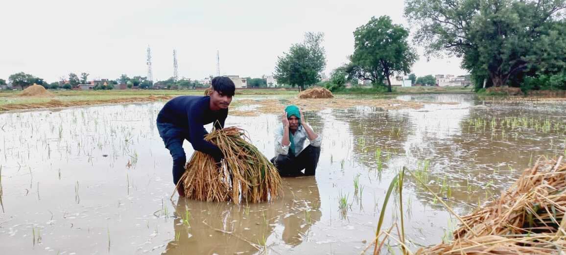 बिहार में बारिश और ओले ने तोड़ी किसानों की कमर, सरकार करा रही फसल बर्बादी का आकलन