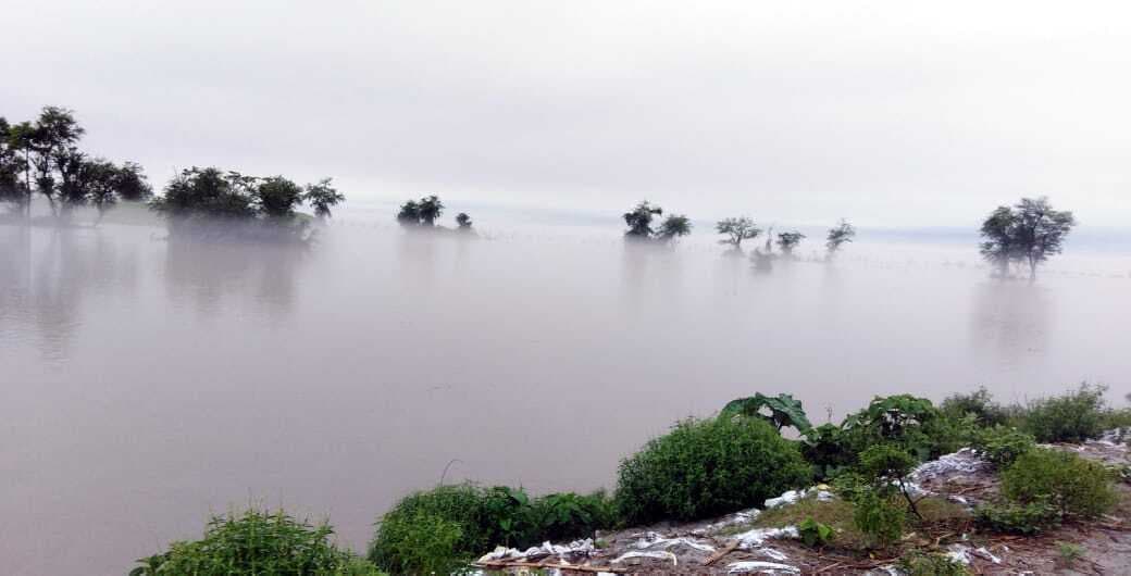 सुपौल में कोसी के तेवर नरम, कटिहार में महानंदा का घटता-बढ़ता रहा जलस्तर, गंगा, बरंडी व कोसी उफान पर