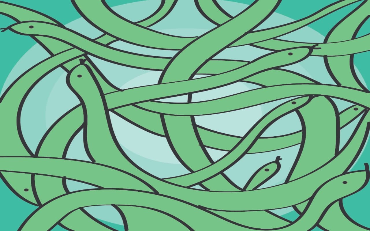 Optical Illusion: 10 सेकंड के अंदर बता दिया इस फोटो में है कितने सांप, तो आप हैं शत-प्रतिशत 'GENIUS'