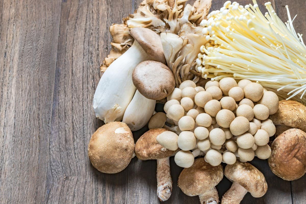 Mushrooms Health Benefits: मशरूम में छिपे हैं कई फायदे, जानकर आज से शुरू कर देंगे खाना