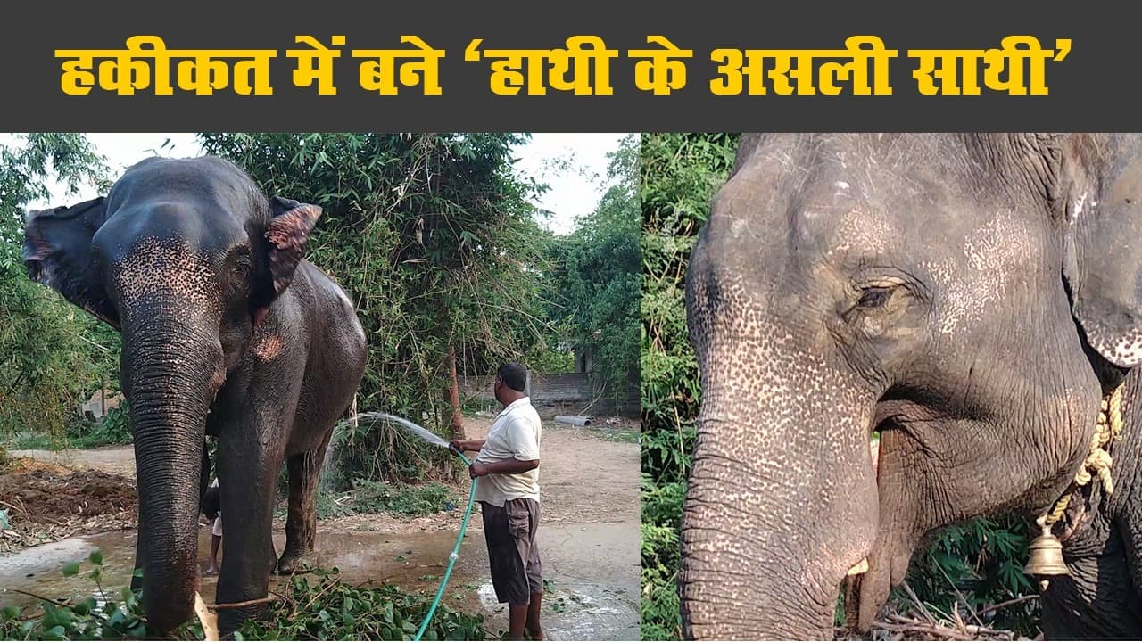 पटना के अख्तर इमाम ने हाथियों के नाम की करोड़ों की संपत्ति, हाथियों को चेन-फ्री करने का लक्ष्य