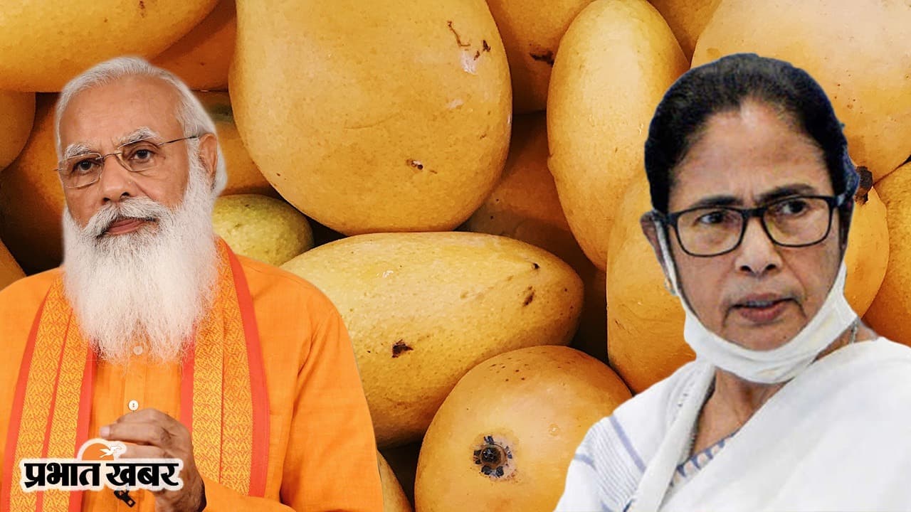 ममता बनर्जी ने भेजा आम तो PM मोदी बोलेंगे ‘जय श्रीराम’, रिजल्ट के बाद रिश्तों में मिठास घोलने की कोशिश