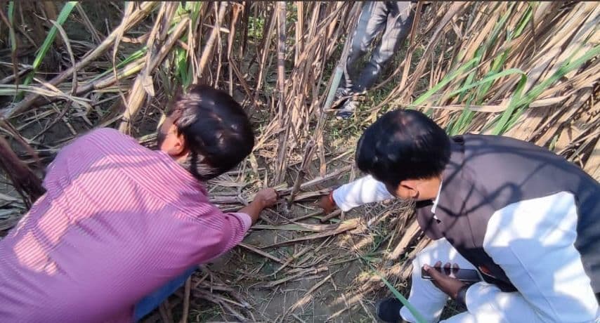 पीलीभीत में गन्ने के खेत से छात्रा का शव बरामद, सामूहिक दुष्कर्म की आशंका, जांच जारी