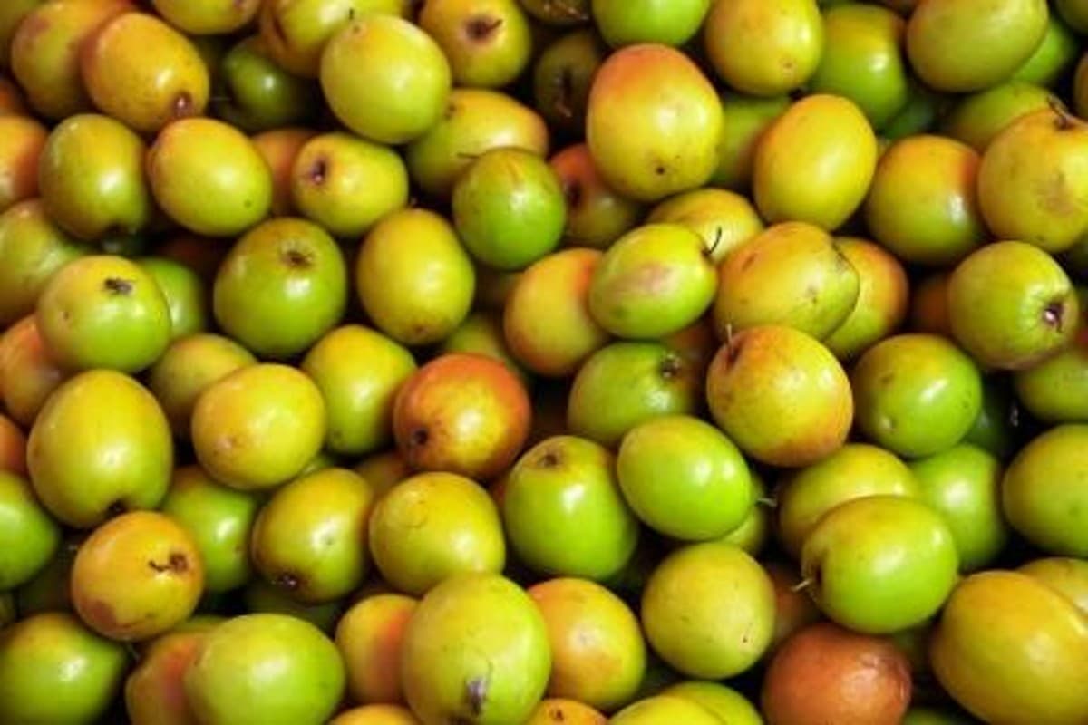 Ber Benefits For Health: बेर खाने के हैं अनेकों फायदे...