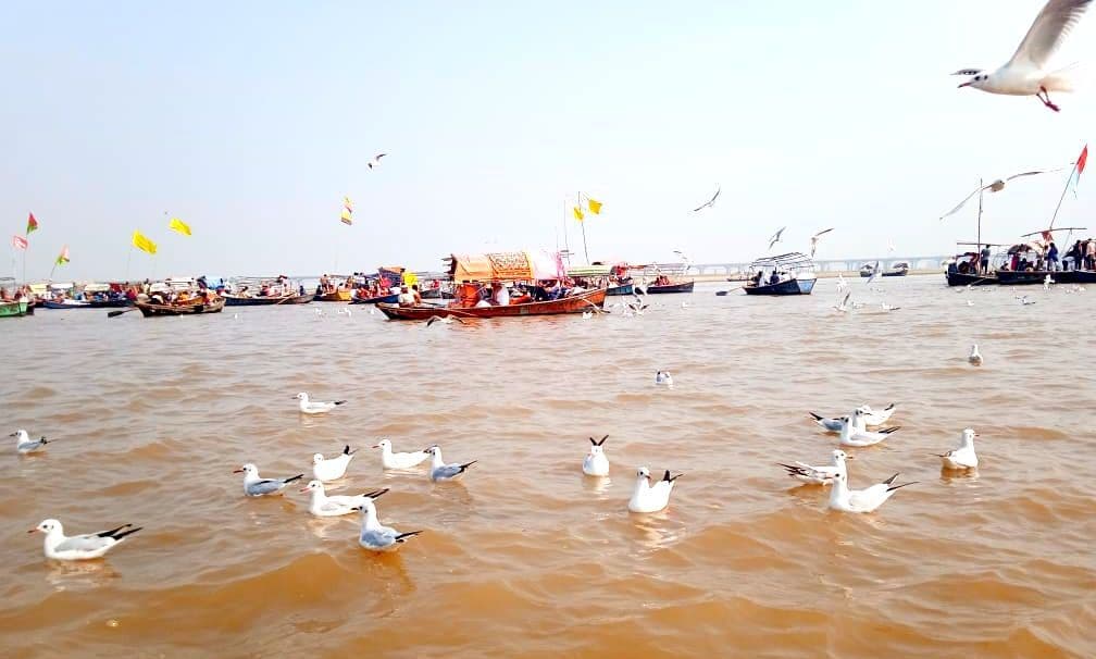 Prayagraj News: प्रयागराज में विदेशी मेहमान, लोगों को लुभा रहे संगम पहुंचे साइबेरिया के पक्षी