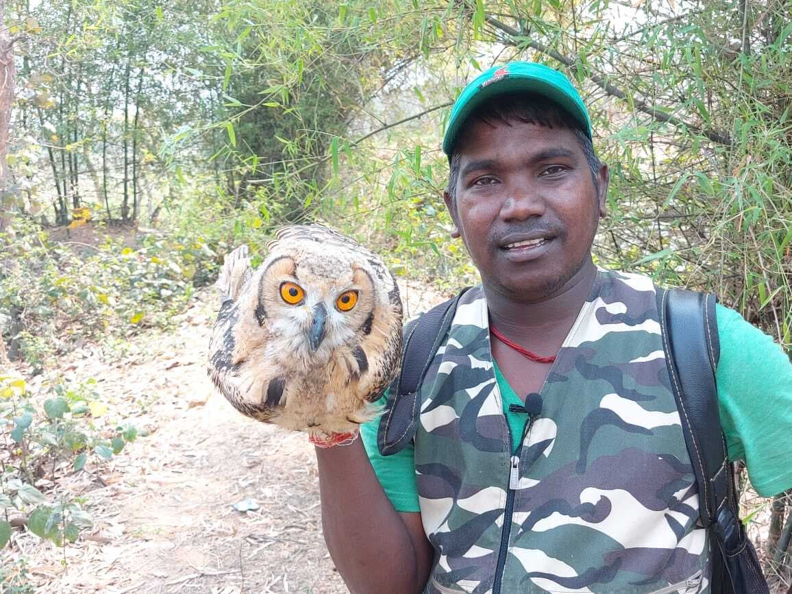 लॉकडाउन : बर्डमैन पन्ना लाल ने यूरेशियन इगल को दी नयी जिंदगी, अब दिन में ही दिखने लगे पर्पल सनबर्ड व वुड सैंडपाइपर