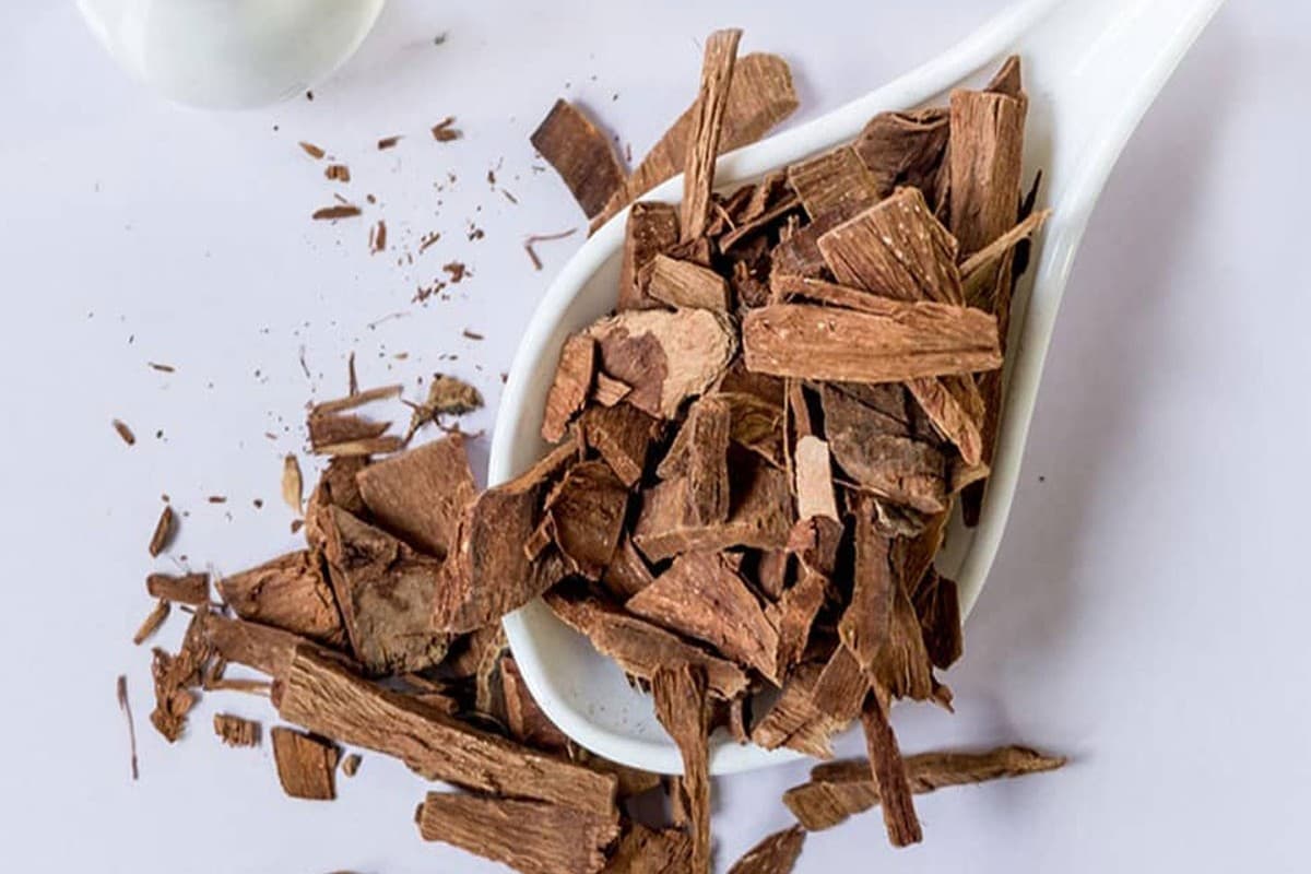 Arjun Chhal Benefits: डायबिटीज ही नहीं इन बीमारियों के लिए भी फायदेमंद है अर्जुन की छाल