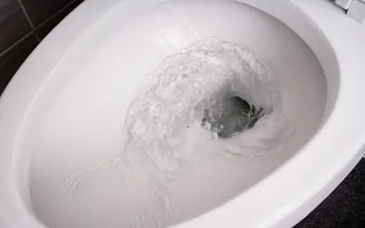 Toilet Cleaning Tips: घर में फैली रहती है टॉयलेट की बदबू, इन घरेलू टिप्स को अपनाकर इसे बनाएं खुशबूदार व साफ
