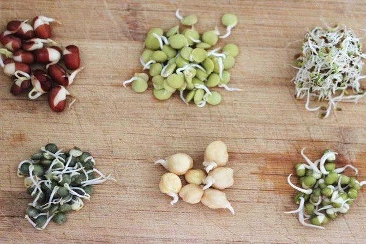 Benefits Of Sprouts: सुबह में अंकुरित अनाज खाने के फायदे