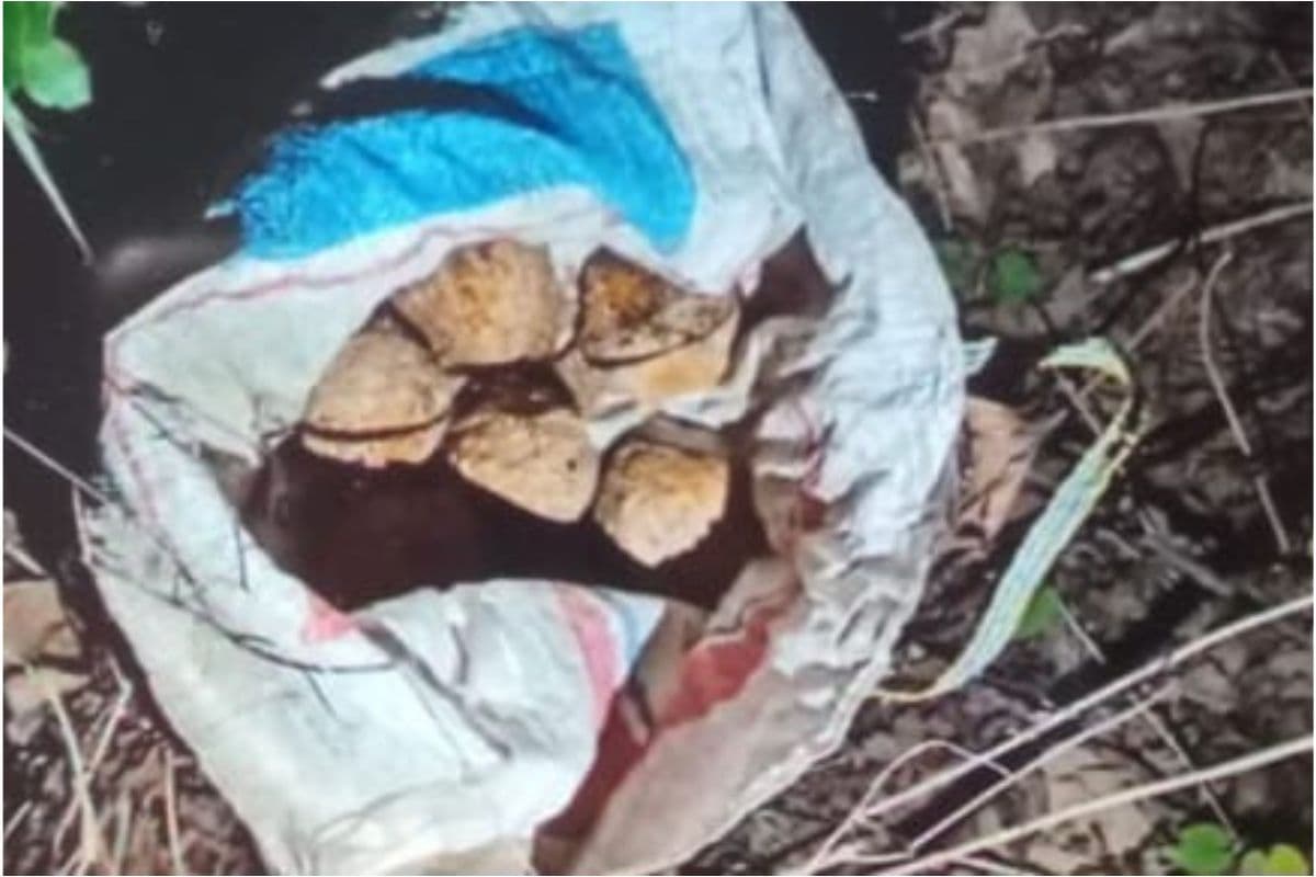 पश्चिम बंगाल : बीरभूम के कांकड़तला और इलमबाजार में फिर बम मिलने से इलाके में दहशत