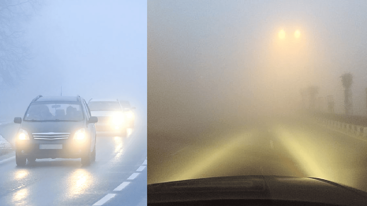 Odisha Weather: ओडिशा में घने कोहरे का अलर्ट, आज से फिर शुरू होगी बारिश