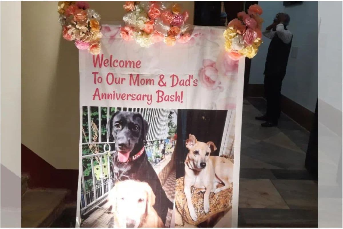 WB : तृणमूल पार्षद ने 'टॉमी-पोमी' शादी की सालगिरह पर लाखों किया खर्च, भाजपा ने लगाया आराेप