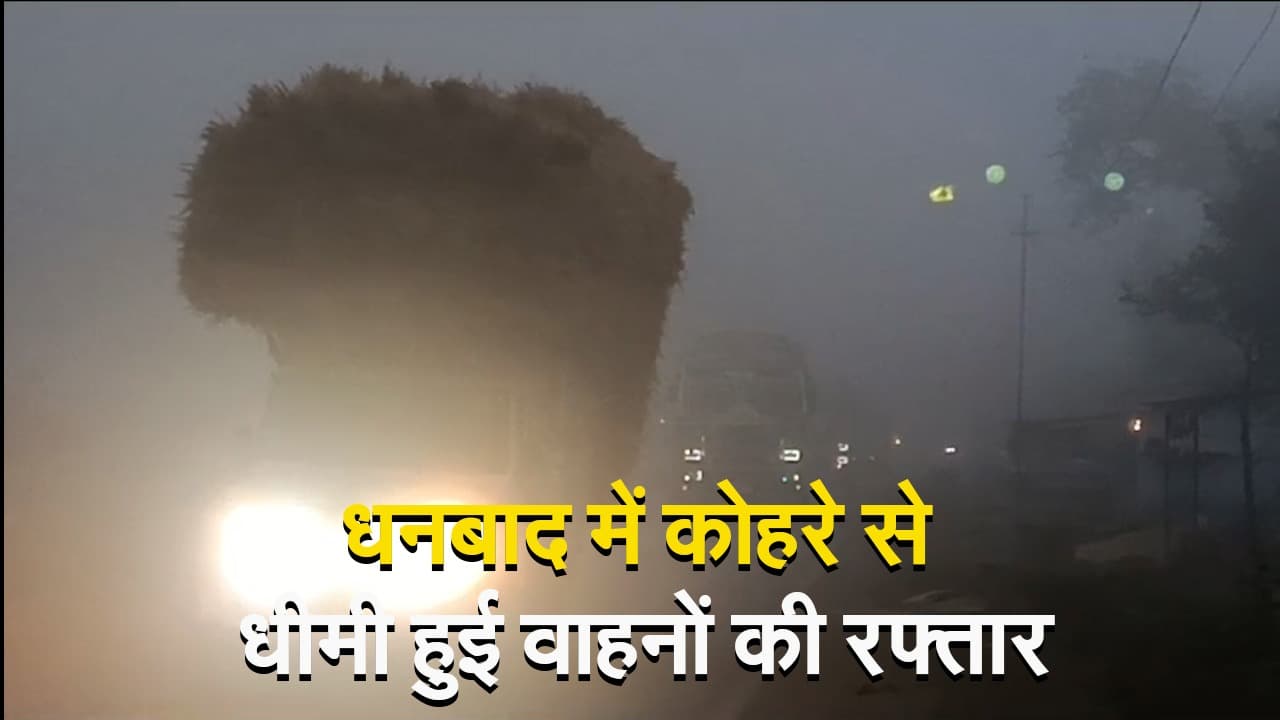 VIDEO: झारखंड के धनबाद में कोहरे से धीमी हुई वाहनों की रफ्तार, शीतलहरी ने बढ़ायी परेशानी