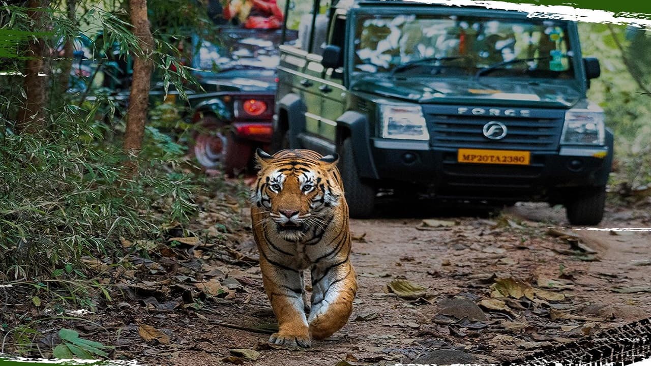 PHOTO : फोर्स ट्रैक्स क्रूजर jungle safari लॉन्च, जानें ड्युअल सनरूफ के साथ एडवेंचर एसयूवी की खासियत
