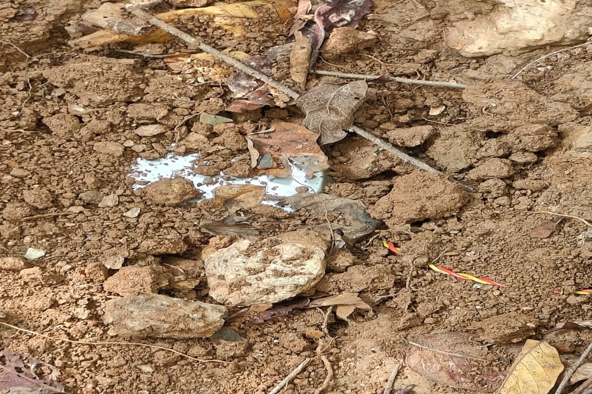 झारखंड में नक्सलियों की साजिश फिर नाकाम, दो आईईडी बम बरामद, सुरक्षाबलों को सर्च ऑपरेशन के दौरान मिली कामयाबी