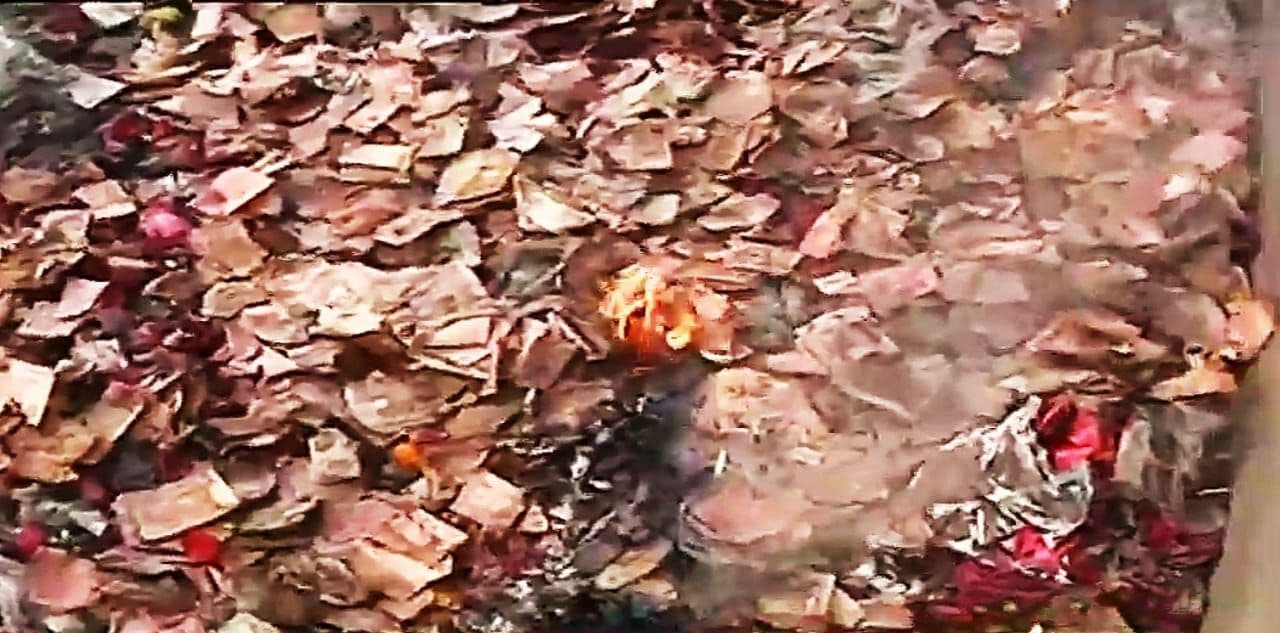 Kolkata News: काली घाट मंदिर के पास बोरियों में भरे मिले 50, 100 और 500 रुपये के कटे-फटे और जले नोट