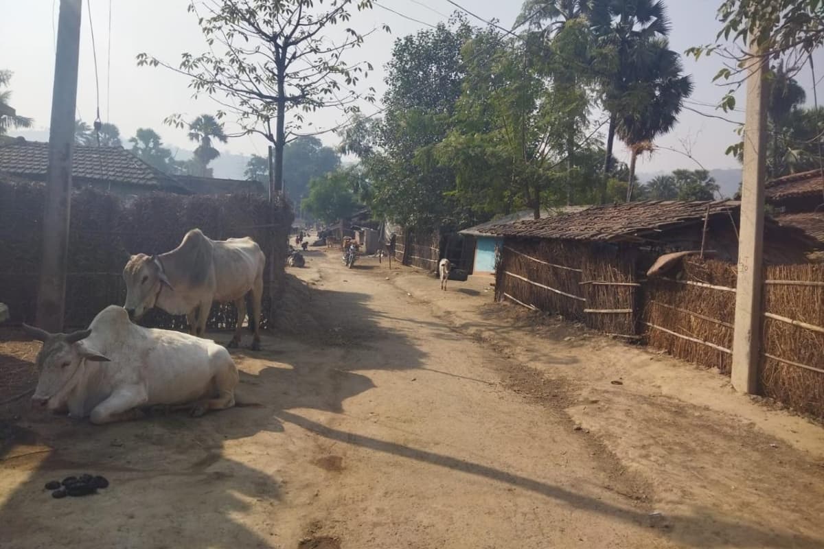 साहिबगंज में तीन दिनों से सीबीआई की जांच जारी, अवैध खनन केस में ईडी के गवाह विजय हांसदा से जुड़ा है मामला