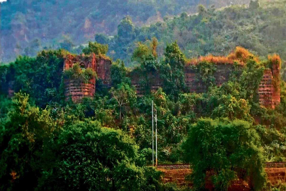 संताल में आया था ऐसा काल : जो जहां था, वहीं ठहर गया, यहां दफन हैं सैंधव से भी पुरानी सभ्यता के प्रमाण