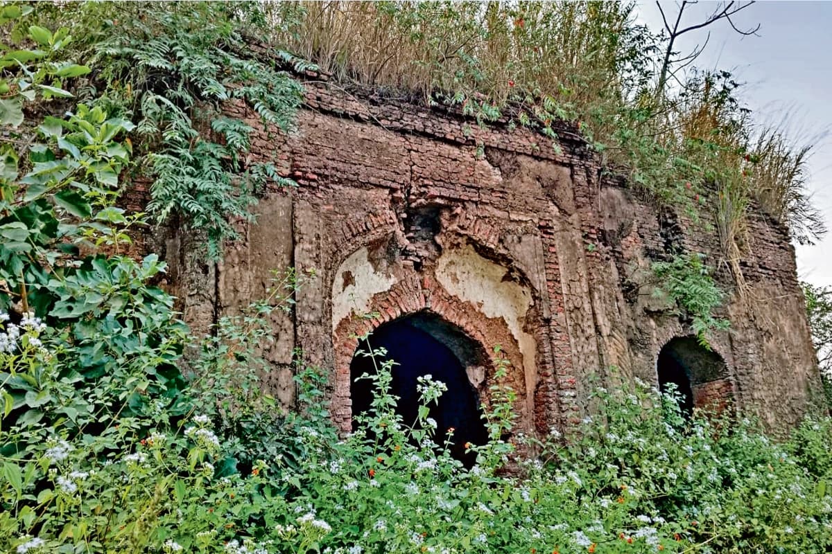 संताल स्थापना दिवस: वनों से भरे इस इलाके में रहते थे पहाड़िया और बंगाल के नवाब द्वारा दंडित लोग, जानें इतिहास