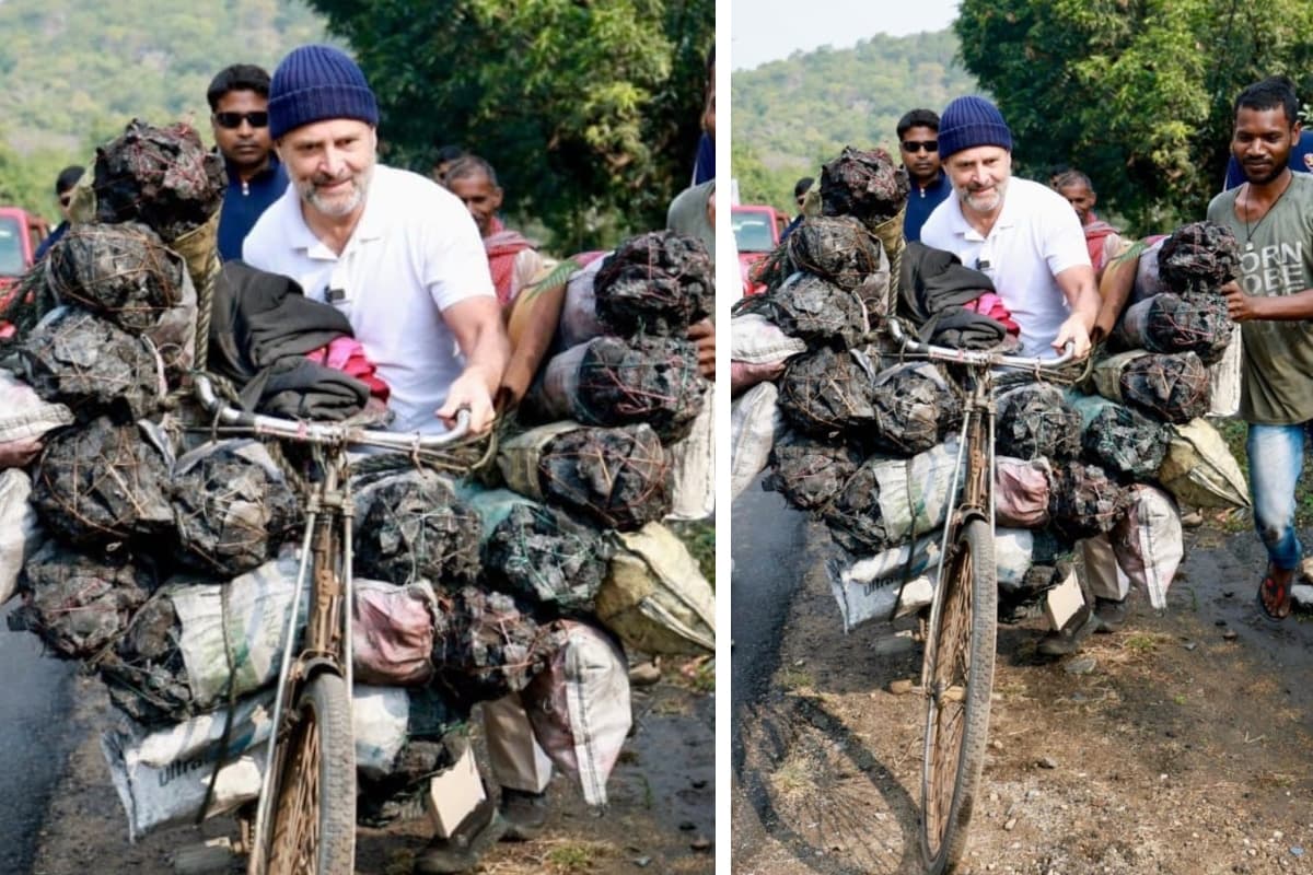 कोयले से लदी साइकिल खींचने लगे राहुल गांधी, रामगढ़ में ऐसी रही भारत जोड़ो न्याय यात्रा, देखें PHOTOS