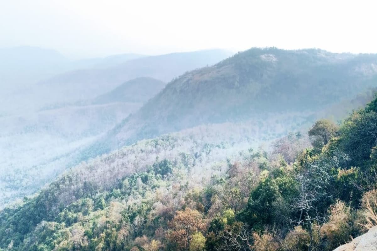 झारखंड : झुमरा पहाड़ के जंगल में दूसरे दिन भी पुलिस-नक्सली मुठभेड़, दोनों ओर से ताबड़तोड़ फायरिंग