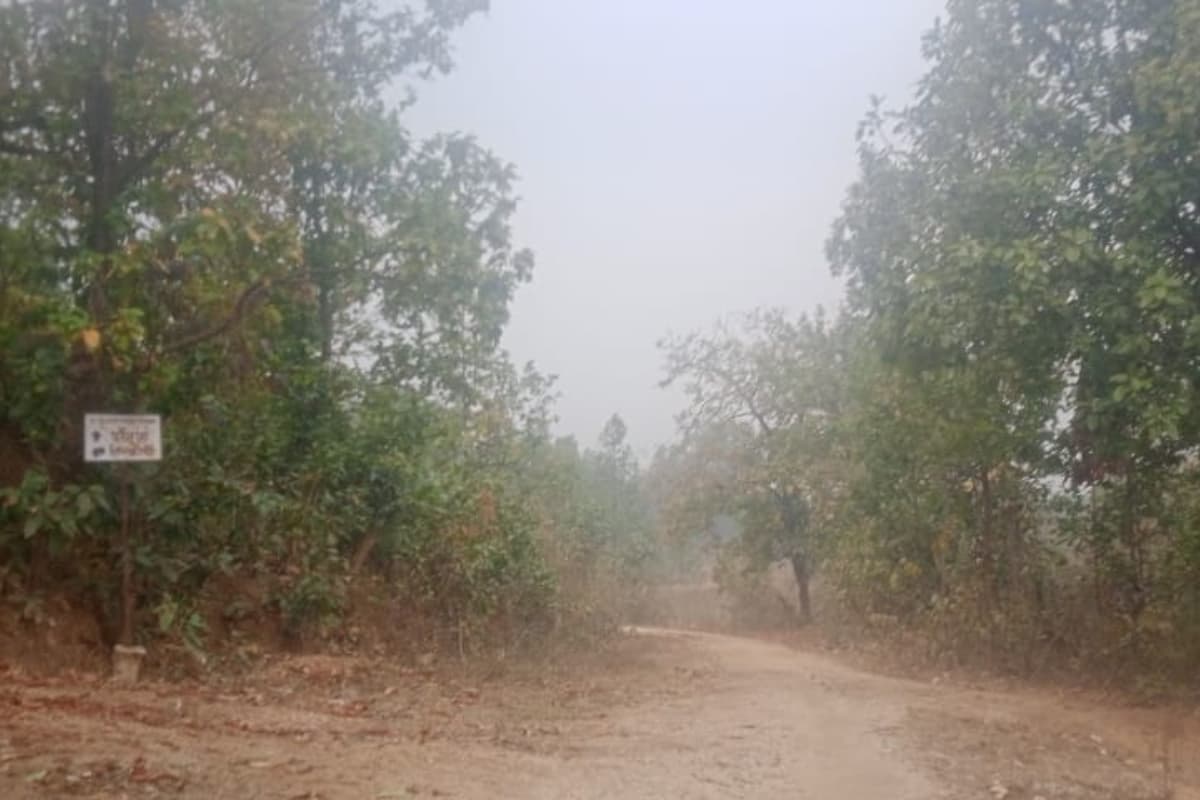 बोकारो : सुरक्षा बलों ने नक्सलियों को चारों ओर से घेरा, भारी मात्रा में हथियार बरामद