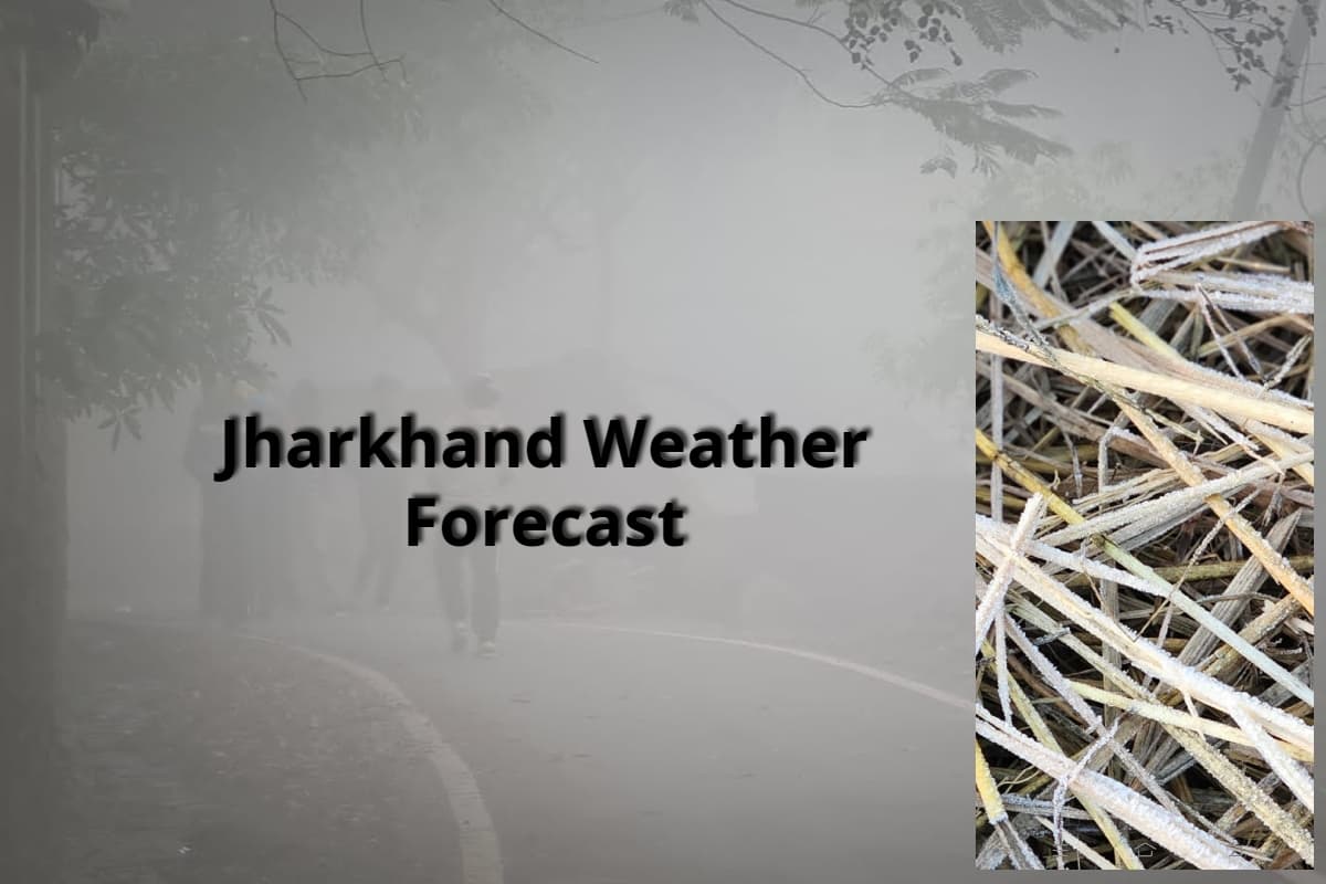 Jharkhand Weather: गिरा चार डिग्री पारा, जम गईं पुआल पर गिरी ओस की बूंदें, अभी राहत नहीं, बारिश के भी आसार