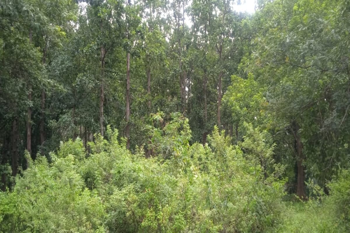 PTR के 210 परिवारों का किया जा रहा पुनर्वास, भूमि व मुआवजा के लिए सांसद-विधायक को लिखा गया पत्र