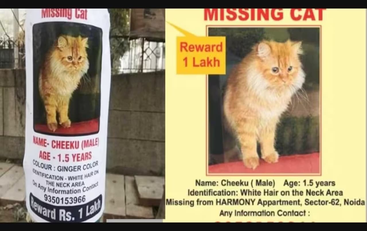 VIRAL: एक चीकू की कीमत 1 लाख रुपये, नोएडा की गलियों में लगा पोस्टर इंटरनेट पर छा गया