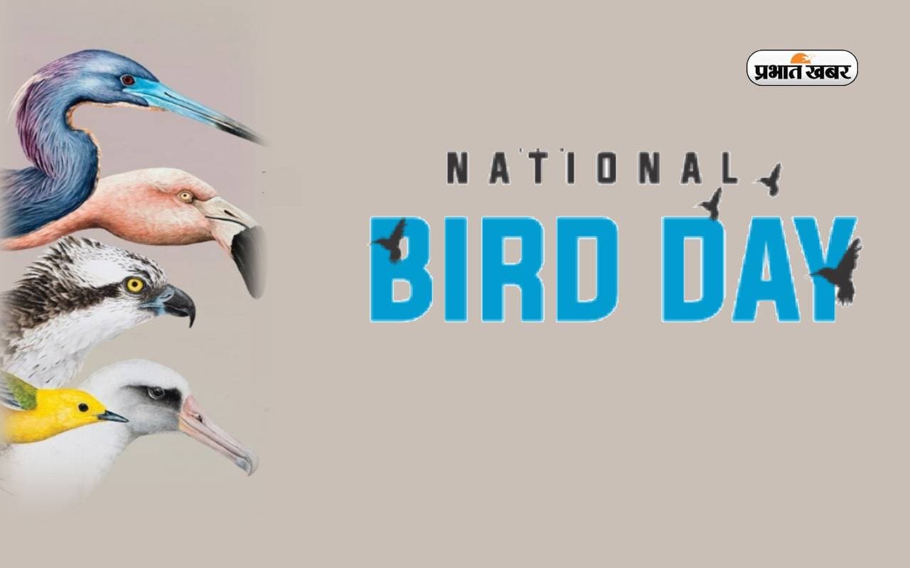 National Bird Day 2024: राष्ट्रीय पक्षी दिवस आज, ऐसे मनाएं इस खास दिन को