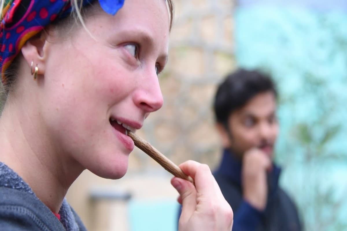 Neem Stick Benefits For Teeth: दांतों के लिए रामबाण है नीम का दातुन, फायदे जानकर चौंक जाएंगे