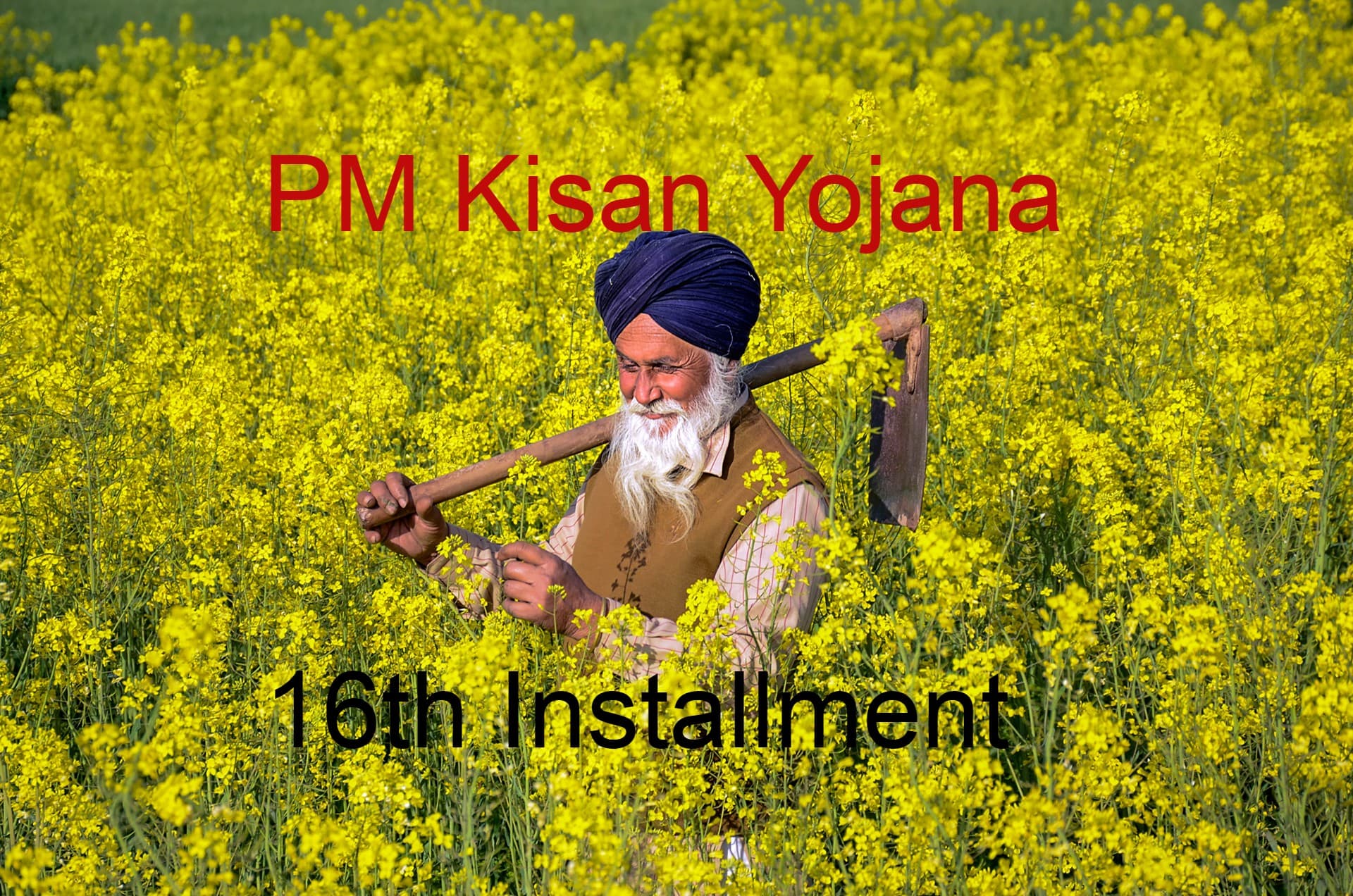 PM Kisan 16th Installment: इन किसानों के खाते में नहीं आएंगे पैसे..? Video