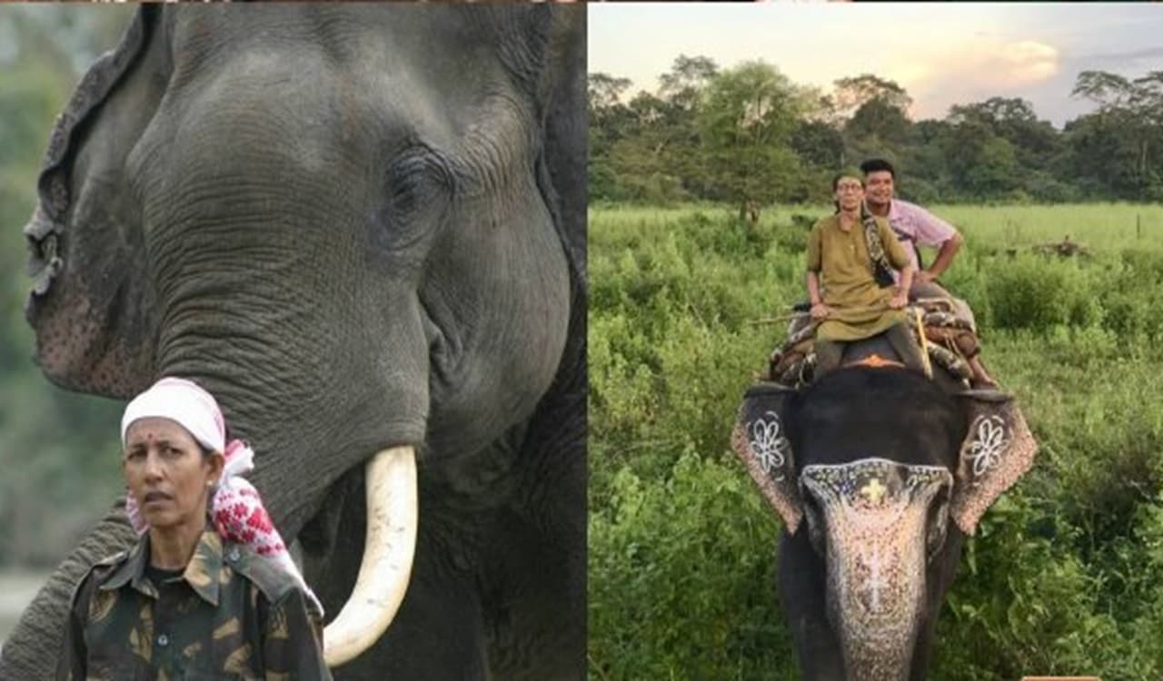 Padma Awards 2024: पहली महिला महावत पार्वती बरुआ, आदिवासी पर्यावरणविद् चामी मुर्मू सहित इन्हें पद्म श्री