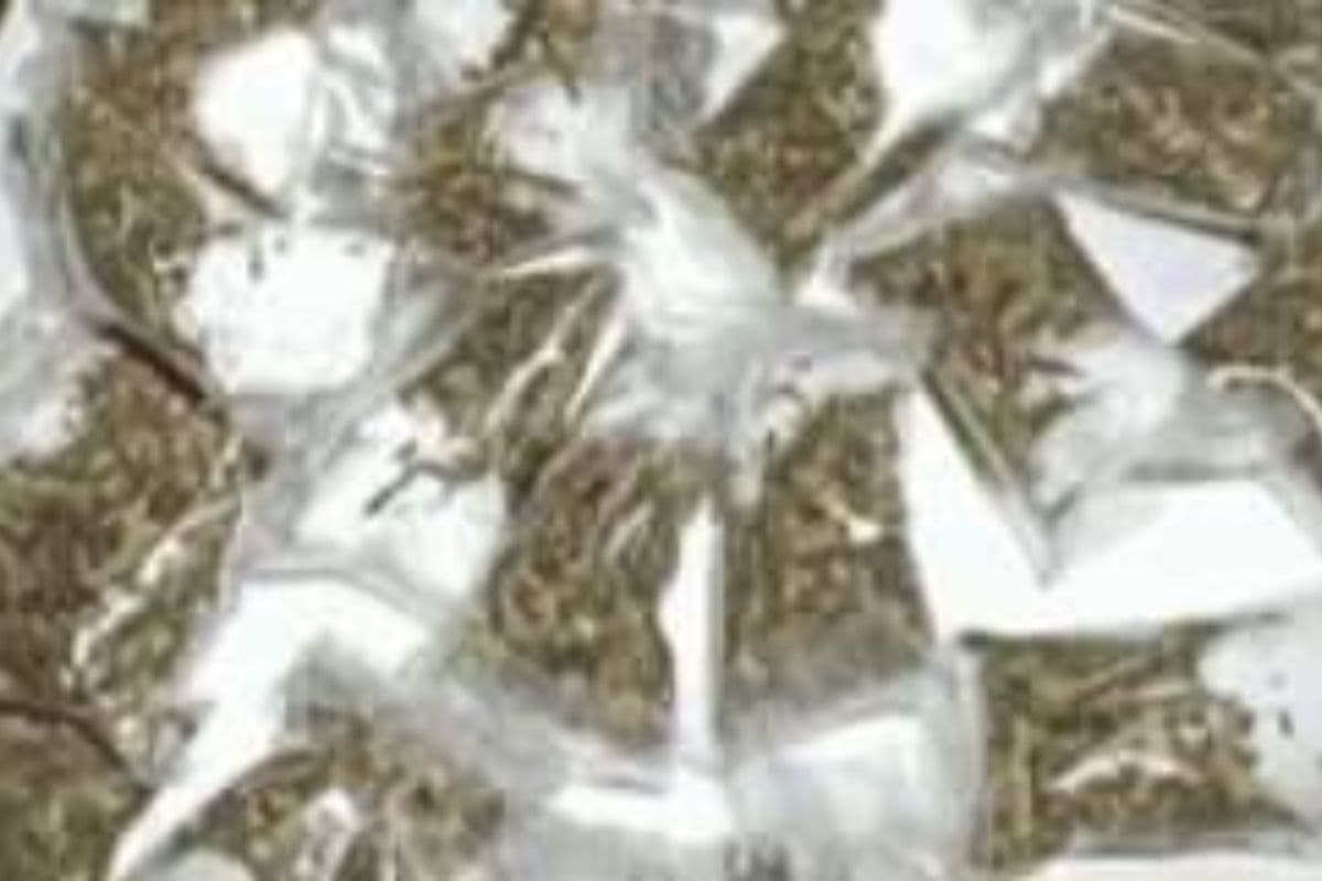 पश्चिम बंगाल : अनोखे अंदाज में गांजा तस्करी की कोशिश को एसटीएफ ने किया नाकाम, महिला समेत चार गिरफ्तार