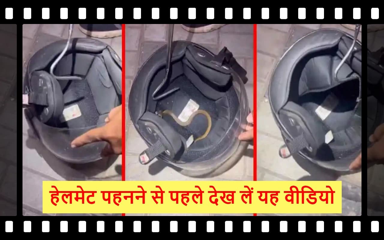 Viral Video: हेलमेट में बैठा हुआ था सांप, देख कर कांप जाएंगे आप