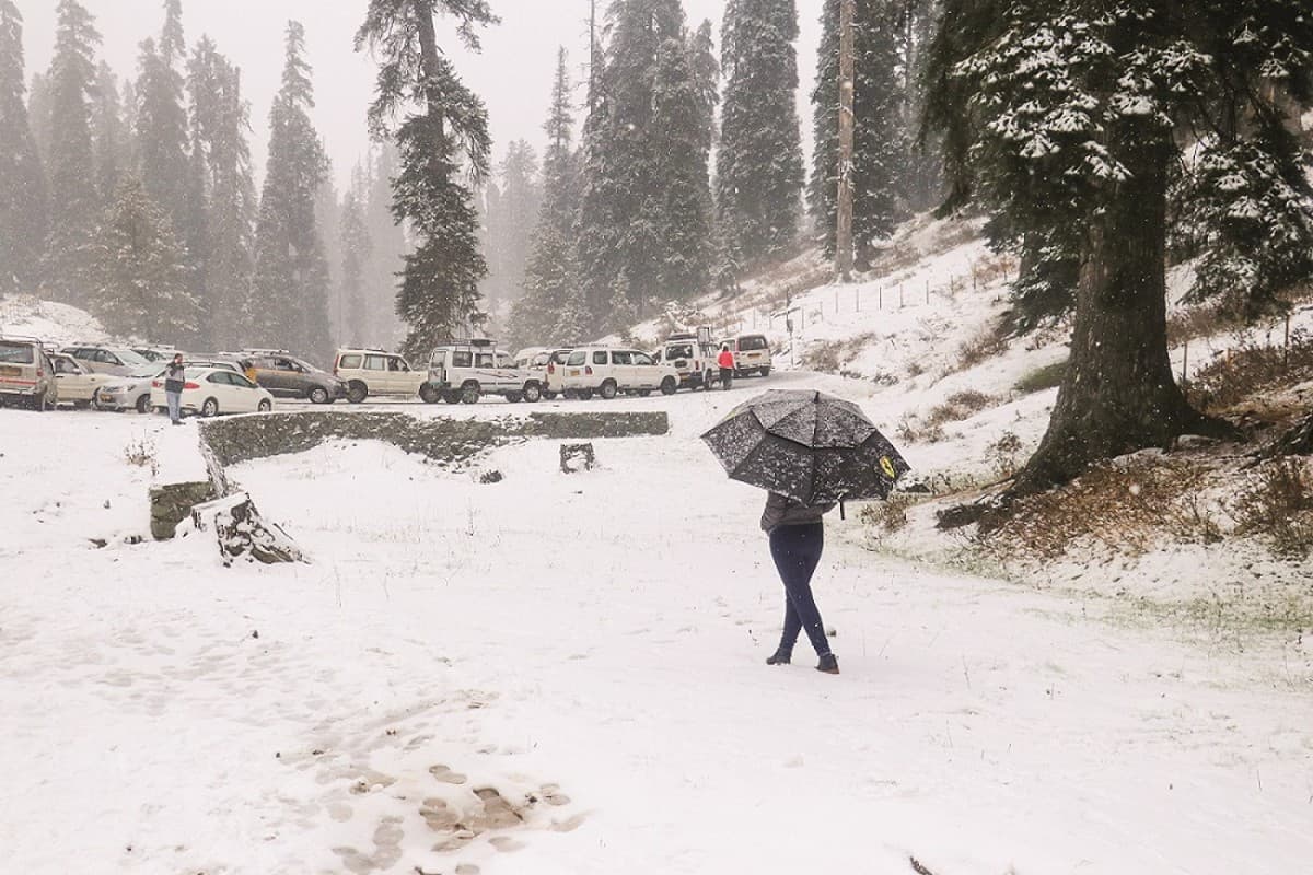Jammu And Kashmir Snowfall Season: रियल लाइफ में लेना है स्नोफॉल का आनंद तो तुरंत बना लें जम्मू-कश्मीर का प्लान, जानें कितना आएगा खर्च
