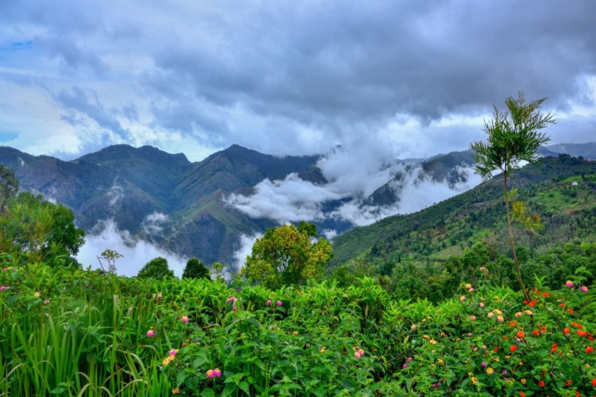 South India Tour Package: IRCTC लाया है साउथ इंडिया के लिए स्पेशल टूर पैकेज, सस्ते में करें ट्रिप