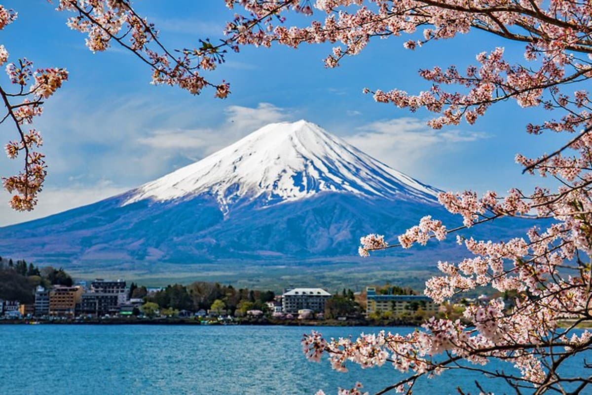 Places To Visit in Spring: बसंत के मौसम में घूमने के लिए बेस्ट हैं भारत की ये जगहें, खूबसूरती देख आप भी हो जाएंगे मंत्रमुग्ध