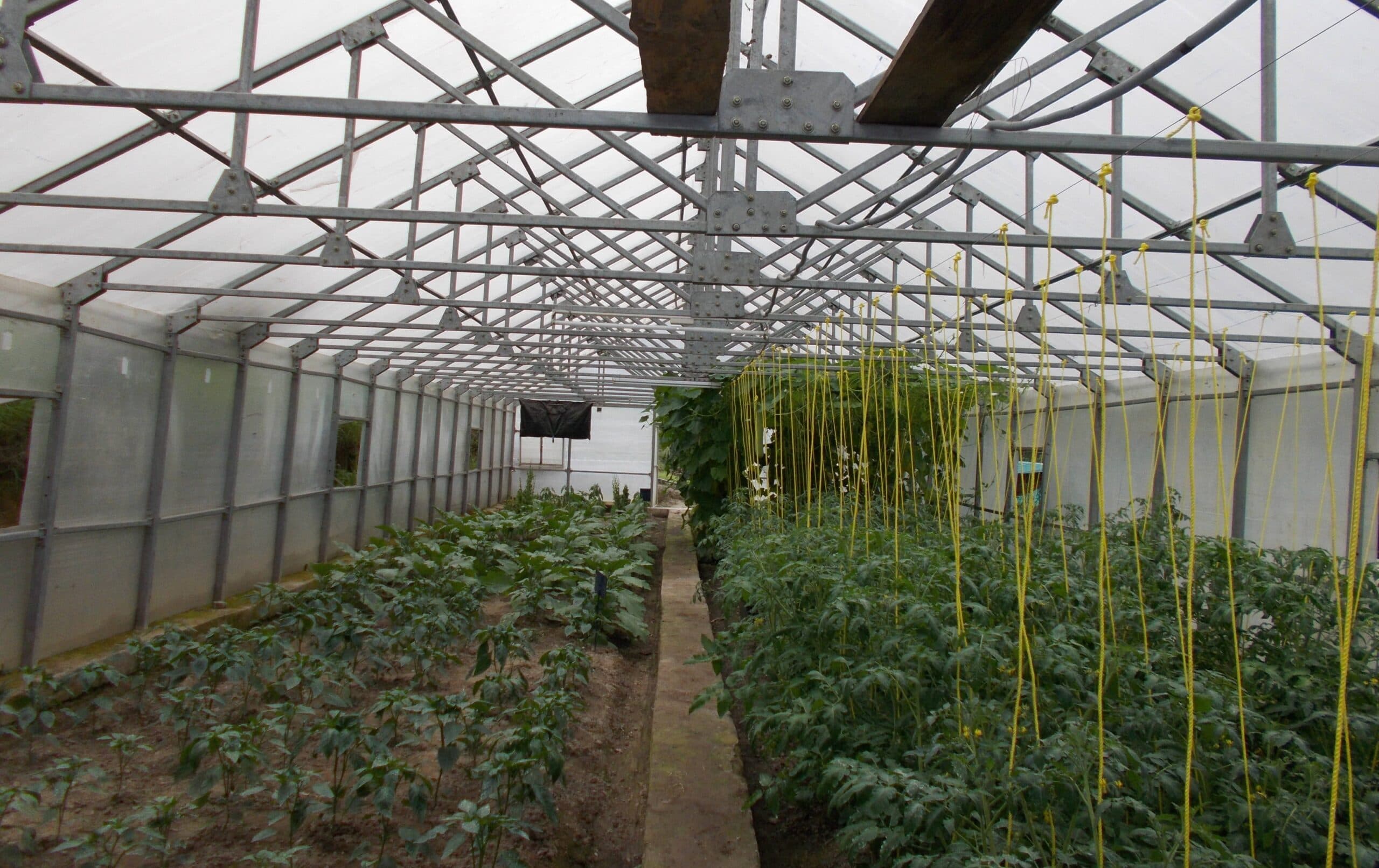 जमा देने वाली ठंड में भी भारतीय जवानों को मिलेगी ताजा सब्जियां, बर्फिली पहाडि़यों में होगी खेती