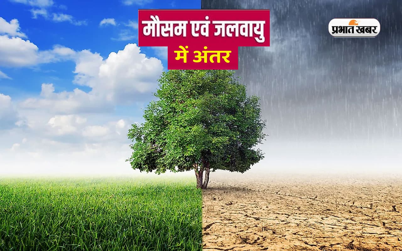 Weather And Climate Difference: मौसम और जलवायु में ये है अंतर, यहां से जानें