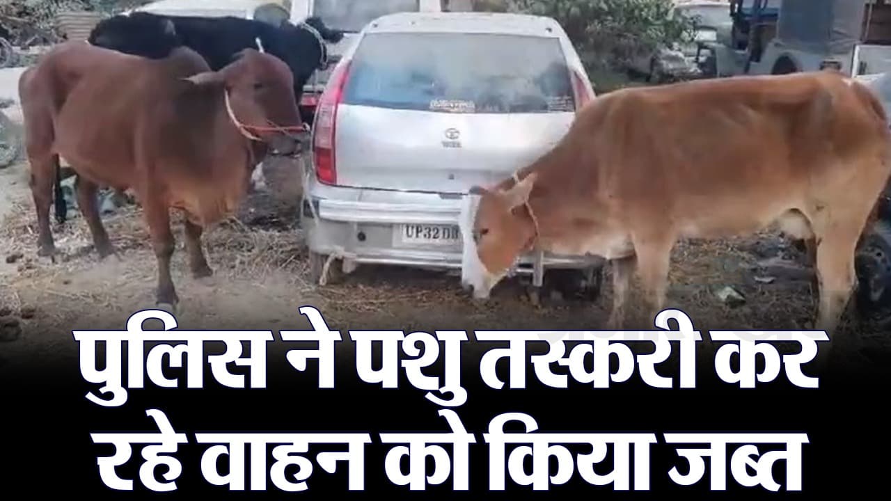 Video: गोपालगंज में पुलिस ने मवेशियों से भरी गाड़ी की जब्त, दो पशु तस्कर भी गिरफ्तार